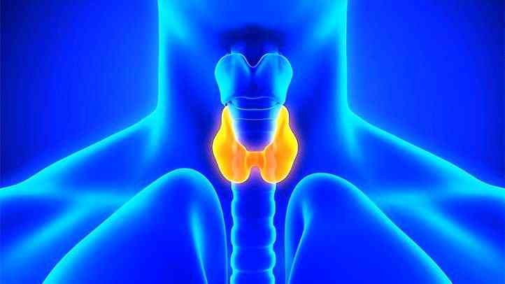 Thyroid Management at Home