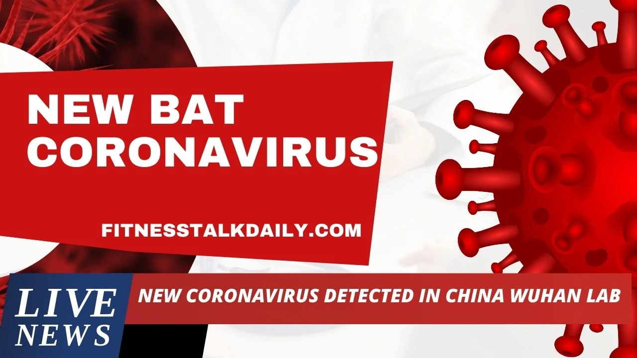 New Bat Coronavirus